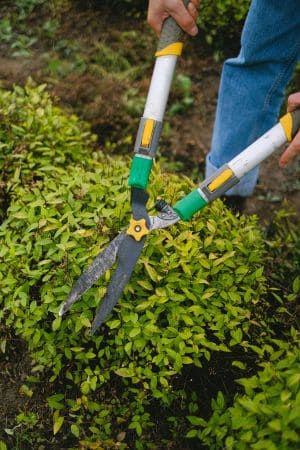 Golden Sun Landscaping Landscaping Experts