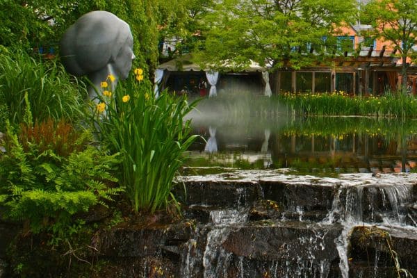 Zen Landscape